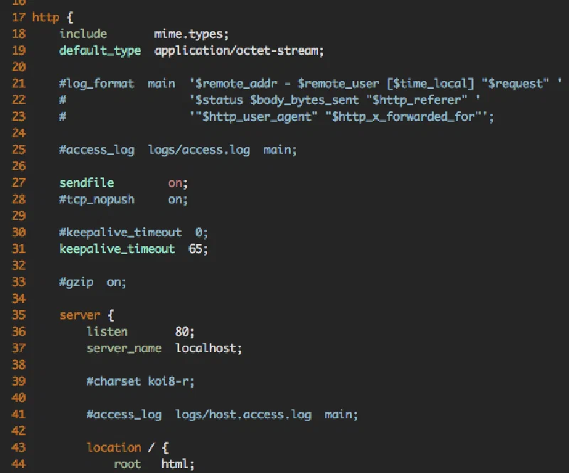 Screenshot of VIM with syntax highlighting in an Nginx config file